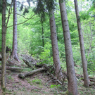 normal_31072011kienbergffaktivnews_20.jpg