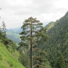 normal_31072011kienbergffaktivnews_22.jpg