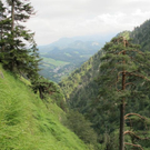 normal_31072011kienbergffaktivnews_23.jpg
