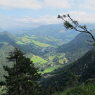 normal_31072011kienbergffaktivnews_26.jpg