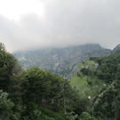 normal_31072011kienbergffaktivnews_32.jpg