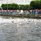 31072011triatlongmundenspaktivnews_017.JPG