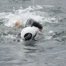 normal_31072011triatlongmundenspaktivnews_016.JPG