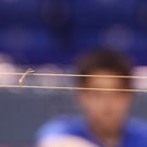 DAB0543-20110723.jpg