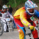 Lingg_2011EM_JPG-1312262770