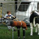 DSC_0354.JPG