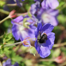 Faszinierende Naturbilder