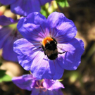 normal_01082011naturprachtspaktivnews_003.JPG