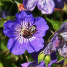 normal_01082011naturprachtspaktivnews_004.JPG