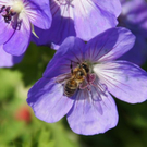 normal_01082011naturprachtspaktivnews_005.JPG