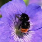 normal_01082011naturprachtspaktivnews_006.JPG