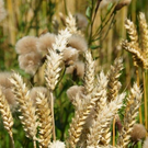normal_01082011naturprachtspaktivnews_007.JPG