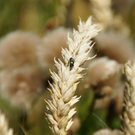 normal_01082011naturprachtspaktivnews_008.JPG