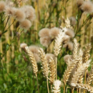 normal_01082011naturprachtspaktivnews_009.JPG