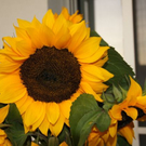 normal_01082011naturprachtspaktivnews_012.JPG