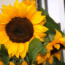 normal_01082011naturprachtspaktivnews_013.JPG