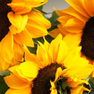 normal_01082011naturprachtspaktivnews_017.JPG