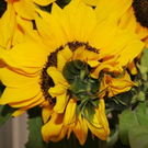 normal_01082011naturprachtspaktivnews_018.JPG