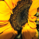 normal_01082011naturprachtspaktivnews_019.JPG