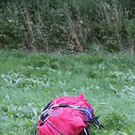 normal_02082011ubergffaktivnews_108.jpg