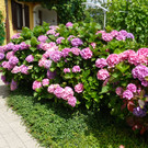 P1010022_JPG-1312305995