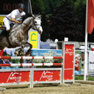 Pferdesporttage
