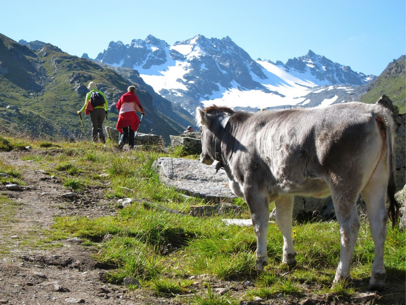 KOE_Wandertipp Wiesbadener H__tte 10_jpg-1312364973