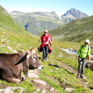 KOE_Wandertipp Wiesbadener H__tte 13_jpg-1312365002