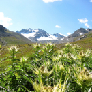 KOE_Wandertipp Wiesbadener H__tte 19_jpg-1312365064