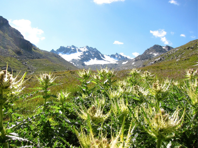 KOE_Wandertipp Wiesbadener H__tte 19_jpg-1312365064