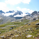 KOE_Wandertipp Wiesbadener H__tte 27_jpg-1312365146