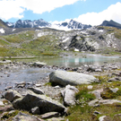 KOE_Wandertipp Wiesbadener H__tte 39_jpg-1312365246