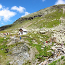 KOE_Wandertipp Wiesbadener H__tte 56_jpg-1312365388