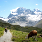 KOE_Wandertipp Wiesbadener H__tte 60_jpg-1312365417