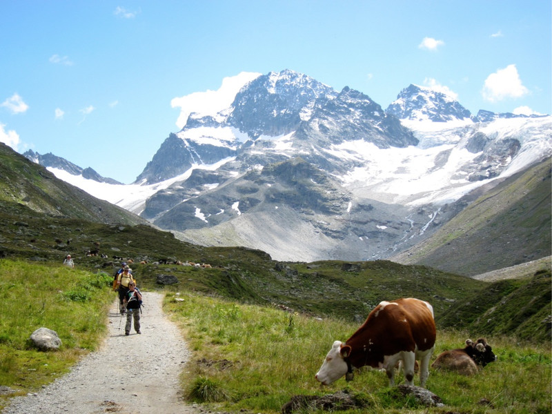 KOE_Wandertipp Wiesbadener H__tte 60_jpg-1312365417
