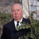 KF_Hitchcock_KF505.jpg