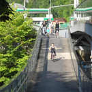 DSCN6569_JPG-1312380142