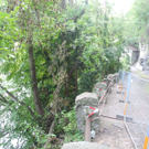 DSCN6541_JPG-1312381947