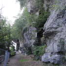 DSCN6544_JPG-1312381987