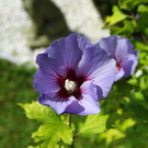 normal_03082011fmt_oaseninderstadt_mw_04.jpg