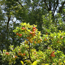normal_03082011fmt_oaseninderstadt_mw_10.jpg