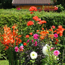 normal_03082011fmt_oaseninderstadt_mw_15.jpg