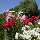 normal_03082011fmt_oaseninderstadt_mw_35.jpg