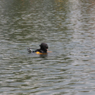 normal_IMG_2551.jpg