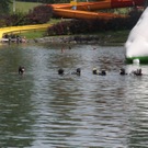 normal_IMG_2562.jpg