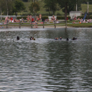 normal_IMG_2565.jpg