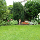 Blumenschmuckbewerb 2011
