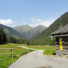 Alpe Gafluna 3_8_2011 _25__JPG-1312409296