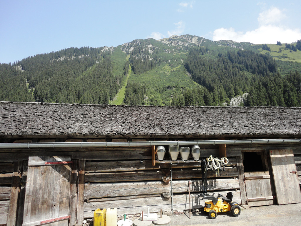 Alpe Gafluna 3_8_2011 _27__JPG-1312409486