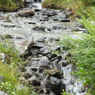 Alpe Gafluna 3_8_2011 _78__JPG-1312410199
